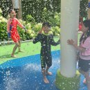 성무태권도 이미지