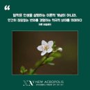 바질레이 - 강남구 개포로 265 | 바질레이