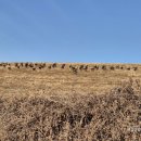 부부한우목장 이미지