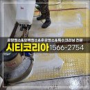 군포위생(주) 이미지