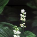 서울특별시장애인치과병원 이미지