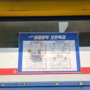 용인대윤태권도 이미지