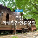 양주 국립아세안자연휴양림 말레이시아 숙소 후기 서울근교 가족여행 추천