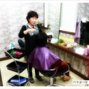 예스염색방 이미지