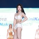 티나코리아 이미지