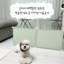 강아지 배변훈련 성공템 밍글펫 푸푸 롱 파티션 사용후기