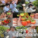 요리조리 키즈쿠킹(A,B반) | 경주 아이와 딸기체험 쿠킹클래스 키즈팜 막내농부