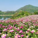 남사-14 이미지