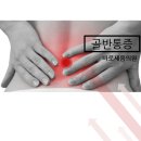 바로세움 이미지