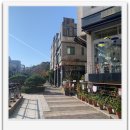 개성공인중개사사무소 이미지