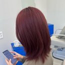 체라헤어 네이버블로그