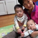 쌍둥이 이미지