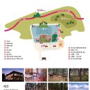 제주커피박물관2