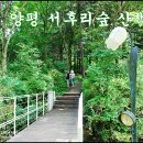 서후리141 이미지