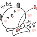 벨라플로르 이미지