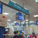 은진상회 | 2025년 노량진 청양수산 대방어,광어,참돔 및 호멜맥주 후기