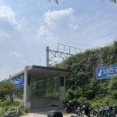 남선장 | 노량진수산시장 횟집 포장 후기 손선장 주차 팁