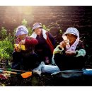 행복한새참 이미지