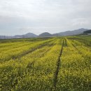 신안마을회관 이미지