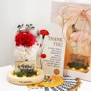 블로썸코리아 이미지