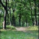 베데스다의료기 네이버블로그