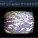 위키게임즈 | 도망친 곳에 낙원은 없다 | 게임 <No Results Found> 플레이 후기