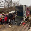 은산목장 이미지