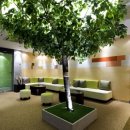 봄한의원 이미지