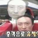 에버닌 이미지