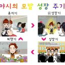 앙포레목포지사