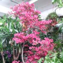 팔도화원 이미지