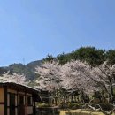 창원단감테마공원 이미지