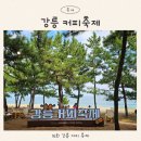 2024 강릉 커피축제 불꽃놀이 후기