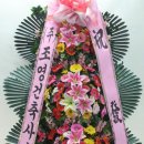(주)조영 건축사사무소 이미지