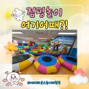 데이점핑 | 점핑데이후기/ 에어바운스레고점핑바운스/트램펄린설치/ 바운스대여