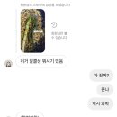 벨라윤에스테틱 | [일상] 3월의 경주, 양산, 부산 일상 모음
