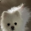 원 빈(one bean)
