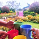 태란 펜션 이미지