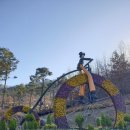 새들의 정원 | 강화 교동 화개정원 전망대 풍경 스카이워크 스탬프기념품 방문후기