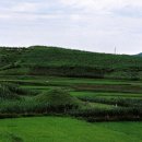 장경희농장 이미지