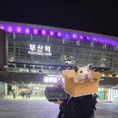 아리산 | 부산역 인근 간짜장 맛집 아리산, 회도시락 포장 내돈내산 후기