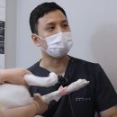 에스디(SD)동물영상센터,서울 이미지