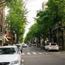 가로수길 이미지