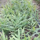 우슬농장 이미지