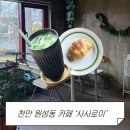 원성천 | 천안 원성동 원성천 분위기 좋은 카페 사사로이 후기