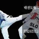용인대 월드태권도 이미지