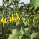 김순자농장 이미지