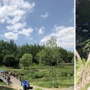 양재천 (연인의거리) 이미지