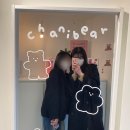 차니베어 이미지