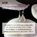 아모레카운셀라 - 구미시 송원동로 59 | 홀리추얼 울트라너리싱어드밴스드 크림 ★ 신상크림이 왔어요!!